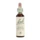 Bach Flower Remedies Essence White Chestnut - 0.7 Fl Oz