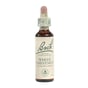Bach Flower Remedies Essence White Chestnut - 0.7 Fl Oz