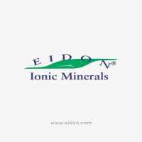 Eidon