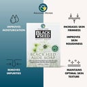 Black Seed logo