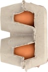 Chino Valley Humane Harvest Large Brown Eggs, 6 Count