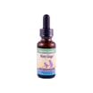 Herbs For Kids Minty Ginger (1x1 Fl Oz)