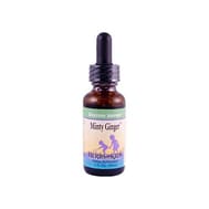Herbs For Kids Minty Ginger (1x1 Fl Oz)