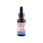 Herbs For Kids Minty Ginger (1x1 Fl Oz)
