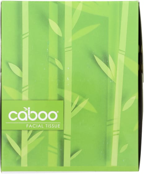 Caboo 2-ply Facial Tissue Cube 90 Sheets, 1 Ea