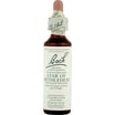 Bach Flower Remedies Essence Star Of Bethlehem - 0.7 Fl Oz