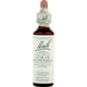 Bach Flower Remedies Essence Star Of Bethlehem - 0.7 Fl Oz
