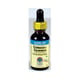 Nature's Answer Echinacea-Goldenseal Alcohol Free (1x1 Oz)