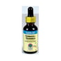 Nature's Answer Echinacea-Goldenseal Alcohol Free (1x1 Oz)