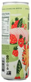 Aura Bora: Water Sprkl Basil Berry, 12 Fo