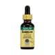 Nature's Answer Af Dandelion Root (1x1 Fl Oz)