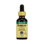 Nature's Answer Af Dandelion Root (1x1 Fl Oz)