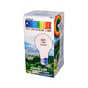 Chromalux Lumiram Full Spectrum A21 75W Clear Light Bulb