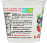 Sierra Nevada: Strawberry Whole Milk Yogurt, 6 Oz