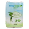 Green2: Tree Free Paper Towels 65 2ply Sheets, 2 Pc