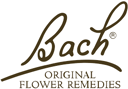 Bach logo