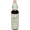 Bach Flower Remedies Essence Red Chestnut - 0.7 Fl Oz