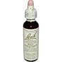 Bach Flower Remedies Essence Red Chestnut - 0.7 Fl Oz