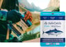 Safecatch Tuna Wild Elite Single Pouch, 3 Oz