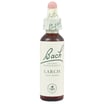 Bach Flower Remedies Essence Larch - 0.7 Fl Oz