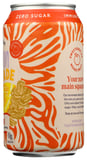 Swoon: Lemonade Ginger Zero Sugr, 12 Fo