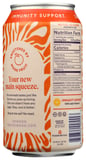 Swoon: Lemonade Ginger Zero Sugr, 12 Fo
