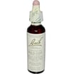 Bach Flower Remedies Essence Wild Oat - 0.7 Fl Oz