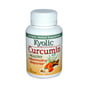 Kyolic Aged Garlic Extract Curcumin Healthy Inflammation Response 50 Capsules