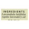 Aura Cacia - Pure Essential Oil Spike Lavender - 0.5 Fl Oz
