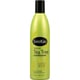 Shikai Natural Tea Tree Conditioner - 12 Fl Oz
