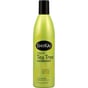 Shikai Natural Tea Tree Conditioner - 12 Fl Oz