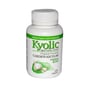 Kyolic Aged Garlic Extract Hi-Po Cardiovascular Original Formula 100 (1x200 Tablets)