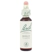 Bach Flower Remedies Essence Holly - 0.7 Fl Oz