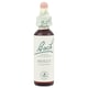 Bach Flower Remedies Essence Holly - 0.7 Fl Oz