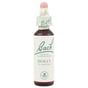 Bach Flower Remedies Essence Holly - 0.7 Fl Oz
