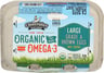 Chino Valley Organic Omega-3 Large Brown Eggs, 6 Count