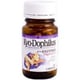 Kyolic - Kyo-dophilus Digestion And Immune Health - 90 Capsules