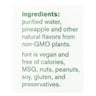 Hint Pineapple Water - Pineapple Unsweetened - Case Of 12 - 16 Fl Oz.