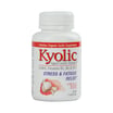 Kyolic Stress And Fatigue Relief Formula 101 (100 Capsules)