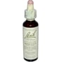 Bach Flower Remedies Essence Mimulus - 0.7 Fl Oz