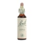 Bach Flower Remedies Essence Aspen - 0.7 Fl Oz