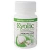 Kyolic - Aged Garlic Extract Cardiovascular Formula 100 - 100 Tablets