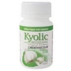 Kyolic - Aged Garlic Extract Cardiovascular Formula 100 - 100 Tablets