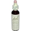 Bach Flower Remedies Essence Sweet Chestnut - 0.7 Fl Oz