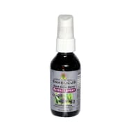Nature's Answer Alcohol Free Sambucus Extract Spray (1x2 Oz)