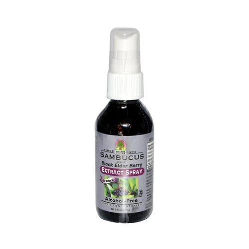 Nature's Answer Alcohol Free Sambucus Extract Spray (1x2 Oz)