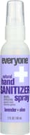 Everyone: Hand Sntzr Spry Lav Al, 2 Fo