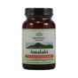 Organic India Amalaki Vitamin C And Antioxidant Boost (90 Veg Capsules)