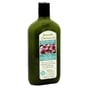 Avalon Organics Scalp Treatment Tea Tree Conditioner - 11 Fl Oz