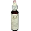 Bach Flower Remedies Essence Pine - 0.7 Fl Oz
